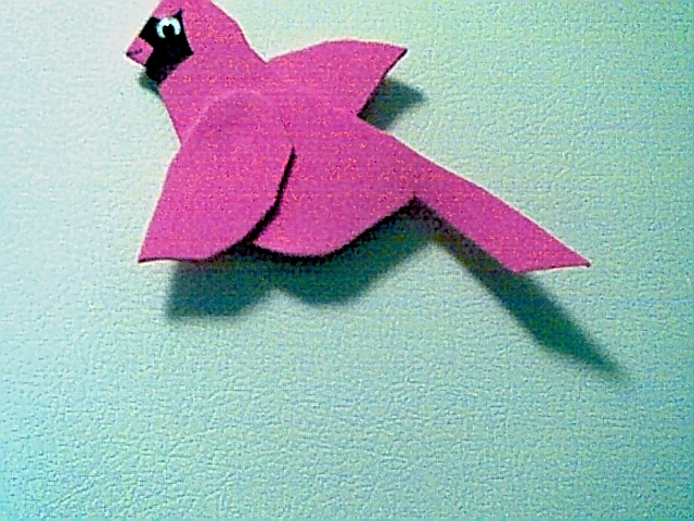 cardinalmagnet.jpg