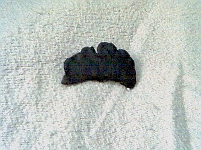 gingkobarrette.jpg